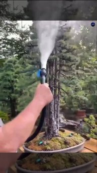 Садовник... 😇🕵️🧐