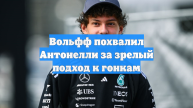 Вольфф похвалил Антонелли за зрелый подход к гонкам