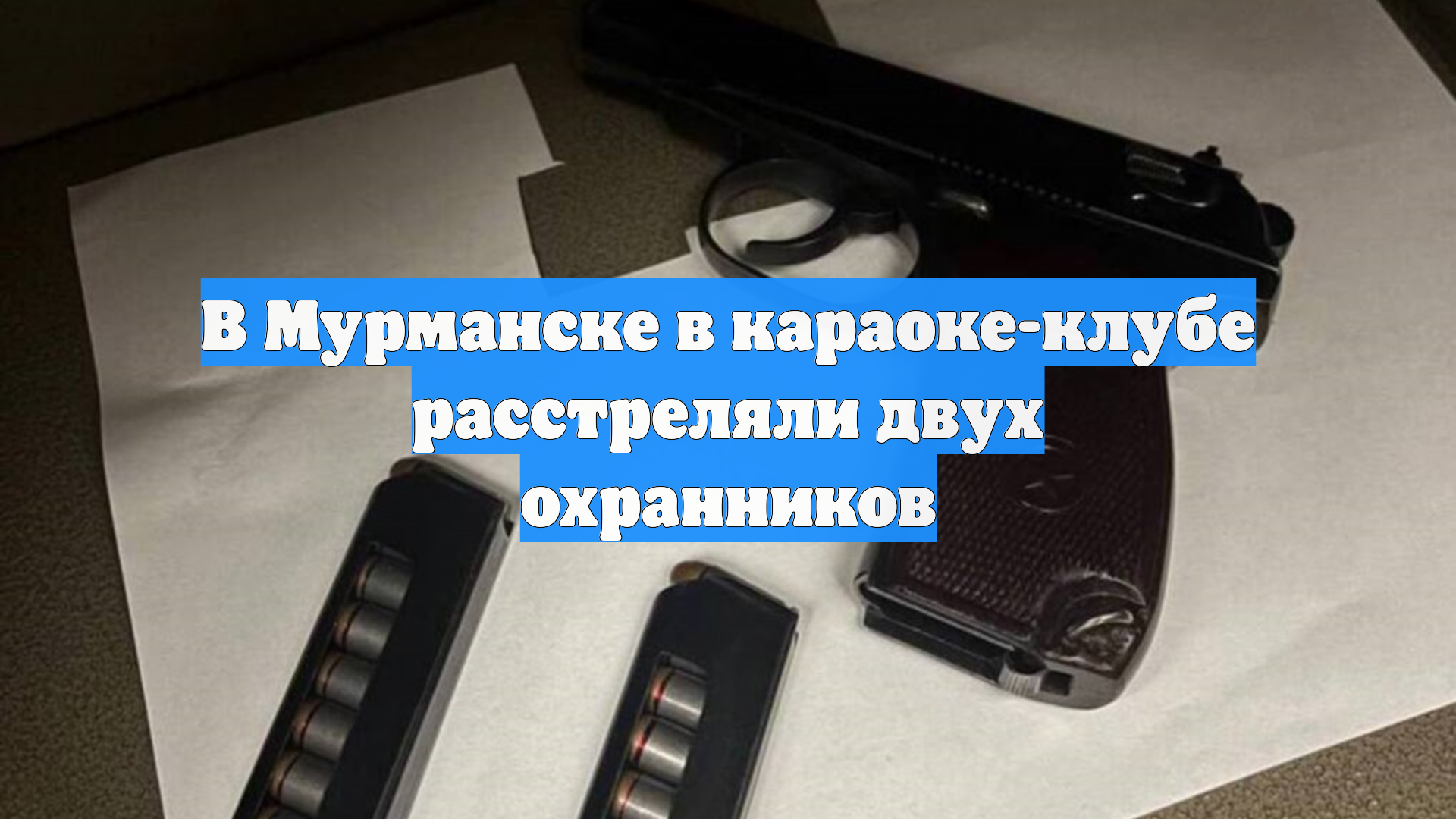 МВД: в караоке-клубе Мурманска расстреляли двух охранников