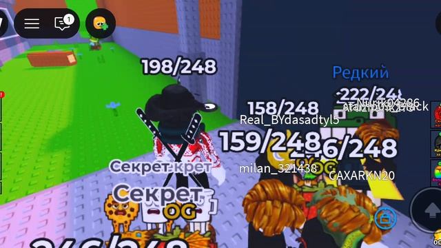 БЫЛИ НА ОБНОВЕ НАЙДИ БРАИРОТ