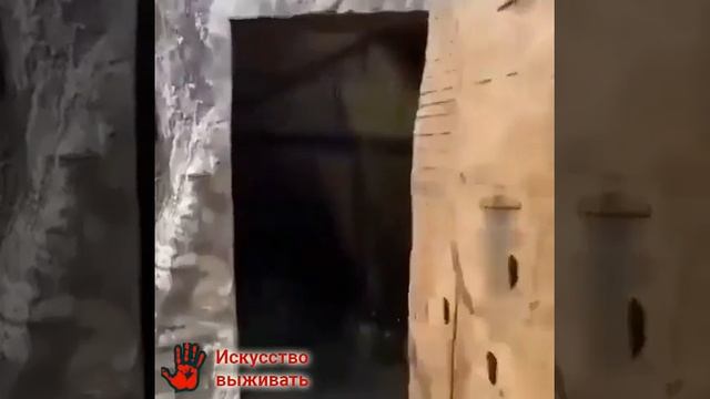 Видео от Походы Выживание Бушкрафт