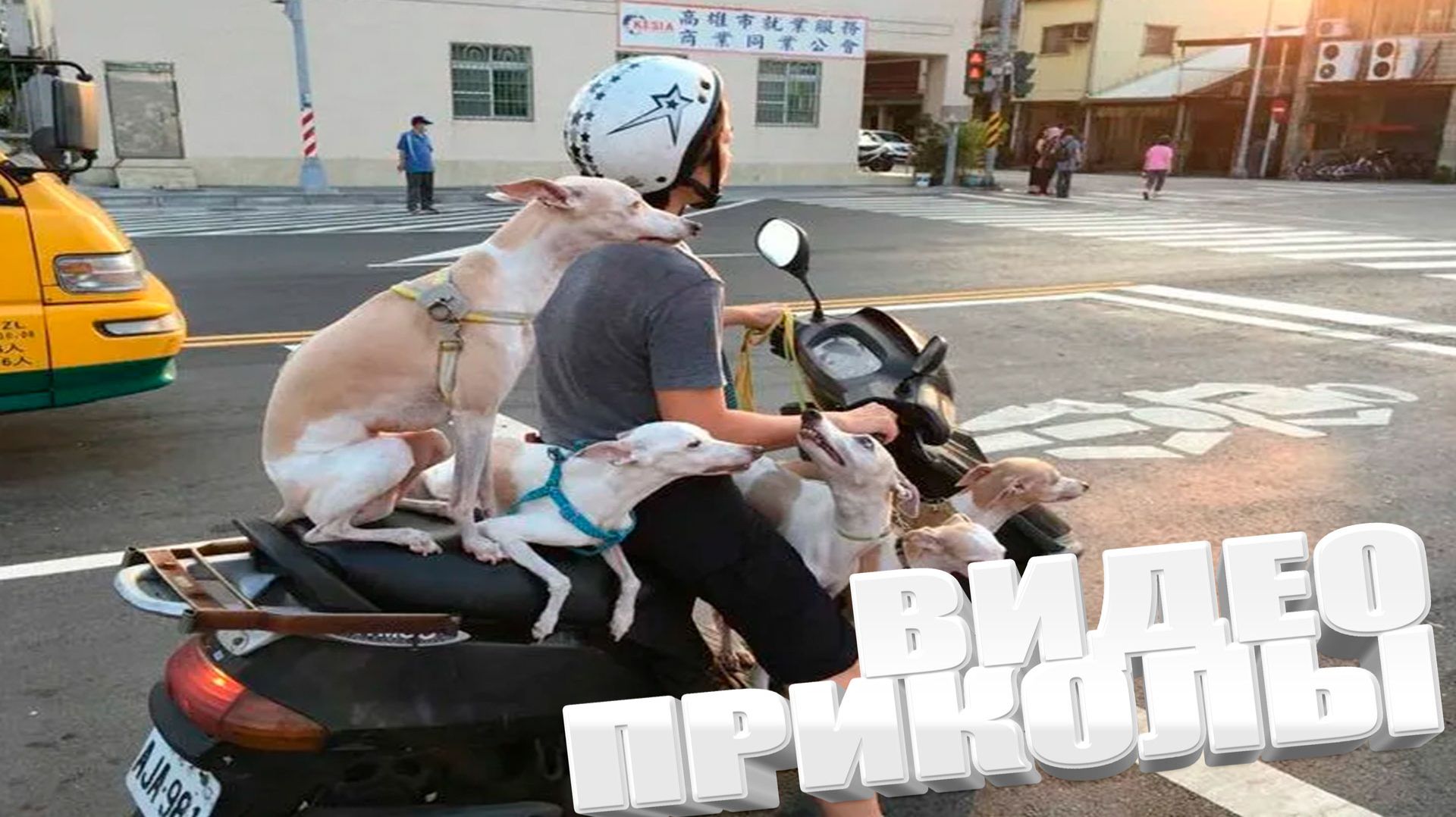 ПРИКОЛ \ ПОДБОРКА ПРИКОЛОВ Я РЖАЛ ДО СЛЕЗ, ЛУЧШИЕ ПРИКОЛЫ 2025 СМЕШНЫЕ ВИДЕО, ДЕВУШКИ , ПОДБОРКА