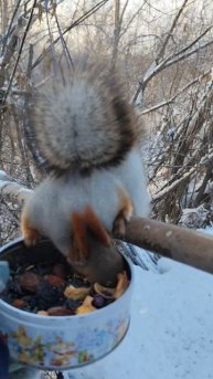 Учуял орехи!) 😁🥰