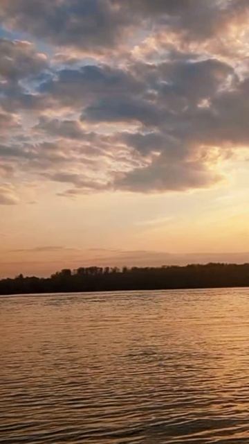 красивый топчик