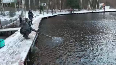 Блёсны с розовыми оттенками работают на запуске. Клёвое место, Лосиный остров, спорт-зона.-зона