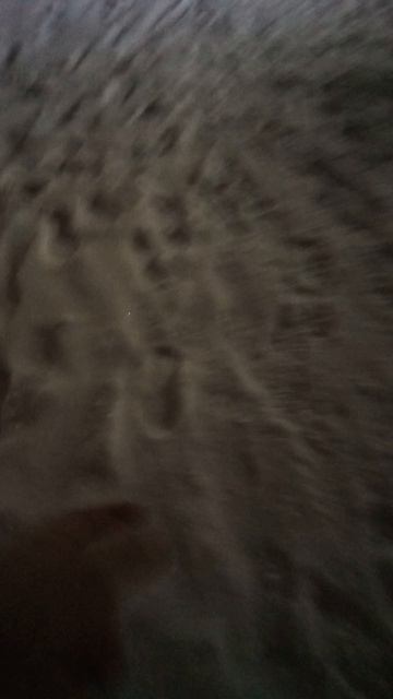 VID_20251210_175621.mp4