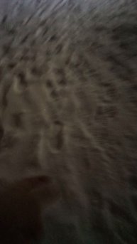 VID_20251210_175621.mp4