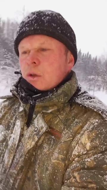 поход до избушки( ссылка на телеграм канал в описании ⬇️