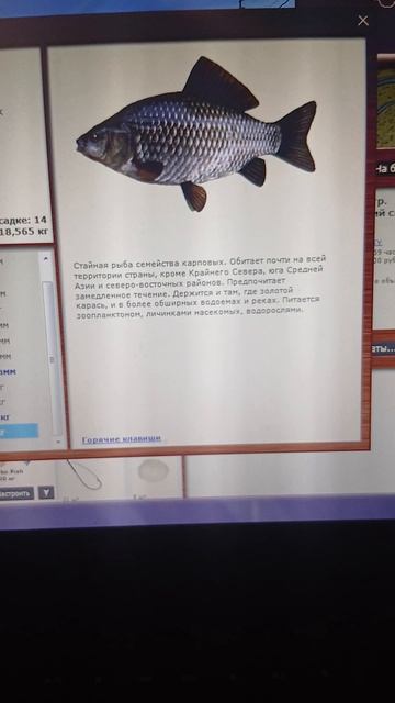 1000006367.mp4Лабынкыр.14.12.2025г.