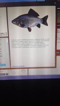 1000006367.mp4Лабынкыр.14.12.2025г.