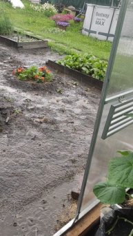 Дождь дождит