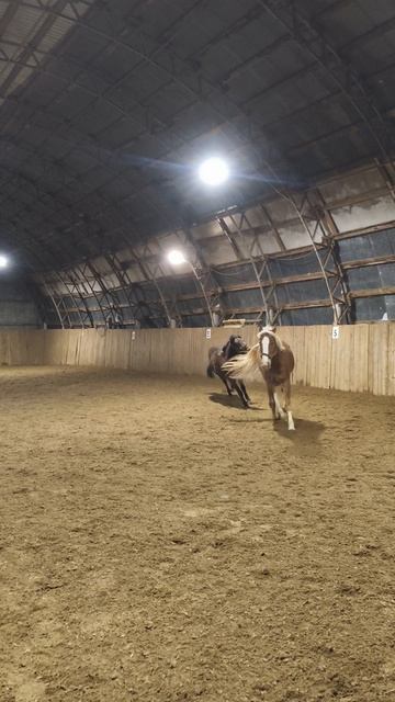 Два друга, Каспер Аквилон наконец то встретились.