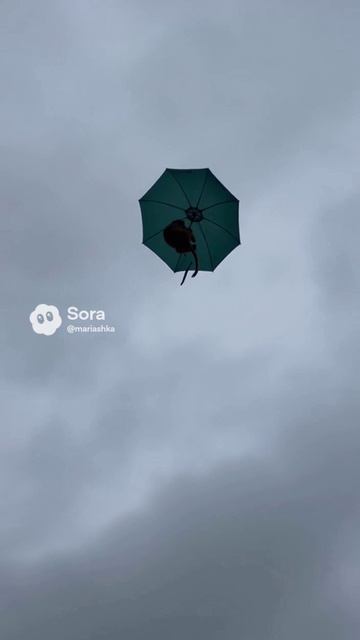 20251214_1934_01k97r3x1cennsb3r8svfd1hsx