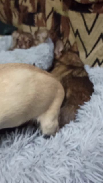 Старушка Юточка.🥰