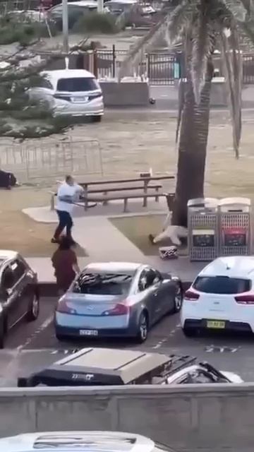 Во время террористической атаки местный житель смог разоружить одного из стрелков в Сиднее