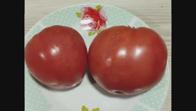 Каталог томатов на 2026 год. Новинки 2025 года. СКИДКИ на СЕМЕНА! Часть 2. г. Киров