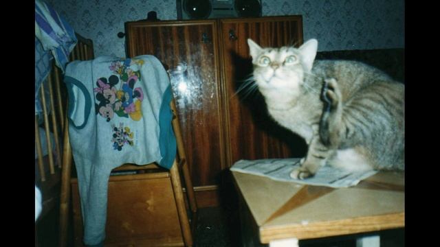 Это Моцарт или Бах