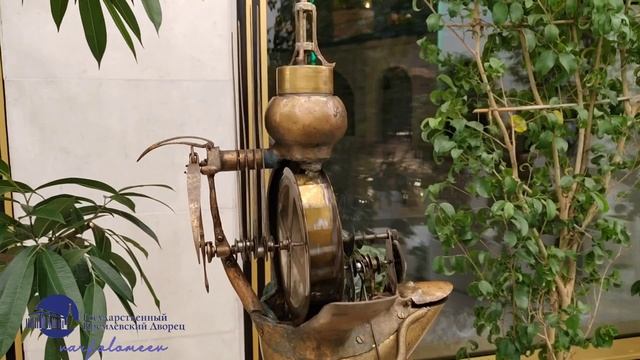 В зимнем саду.