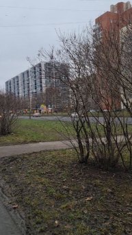 СПб Рыбацкое н.зимы 2025г