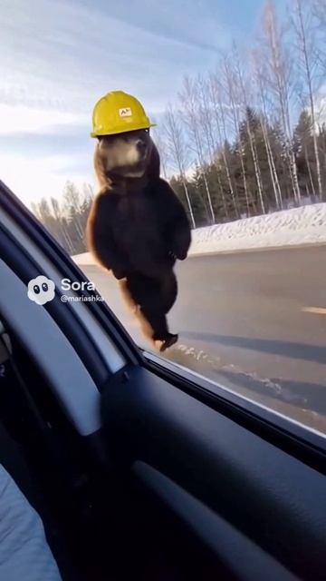 Мастер-класс для риелторов по созданию коротких роликов