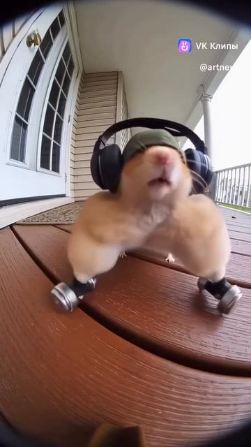 крутой хомыч