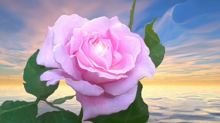 14 декабря 2025 г. Воскресная служба на русском языке