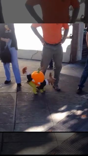 кому тыковку? 😆