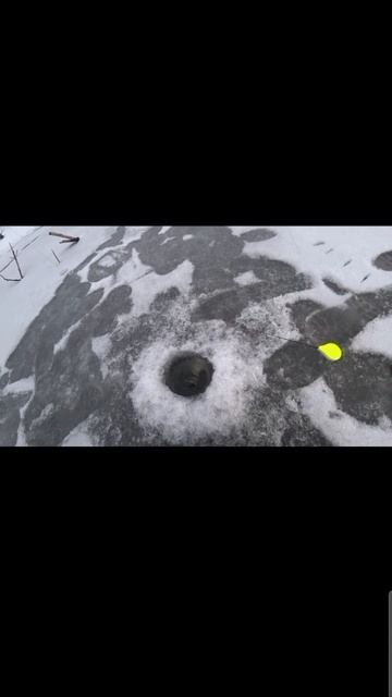 #рыбалкапервыйлёд