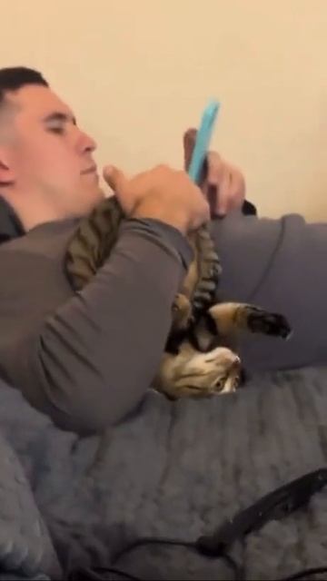 Главное, чтобы все были довольны.