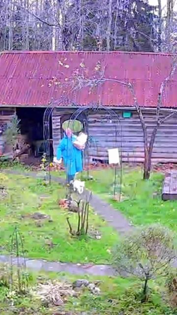 #велосипед #жизньвдеревне #загороднаяжизнь