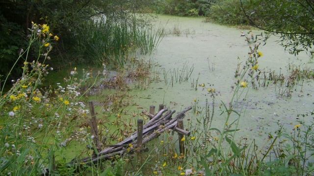 Оркестр Поля Мориа - Говорите тише....