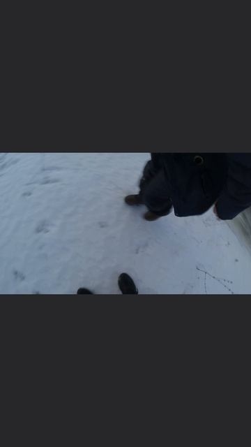 провалился под лёд #бузулук