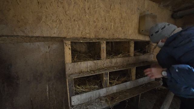 Обзор нашего хозяйства