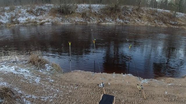 Налим Оредеж Декабрь