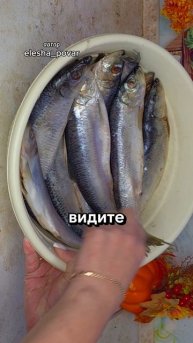 Малосольная сельдь пряного посола по ГОСТу как в СССР