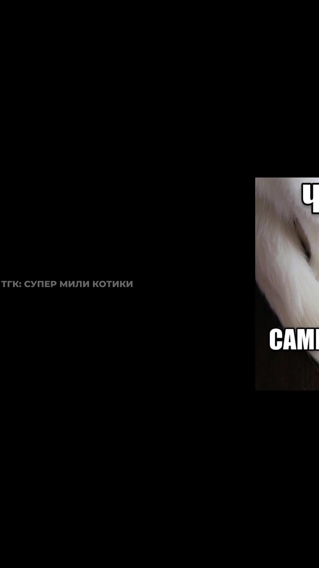 supermilikotiki_116.mp4