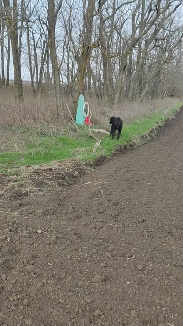 Памятный знак