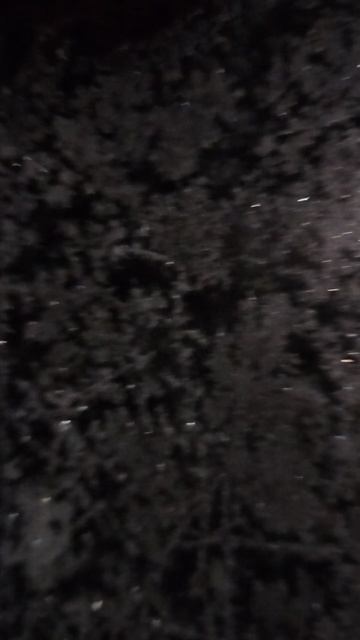 Отрывок из песни . Ой мороз , мороз 🎅