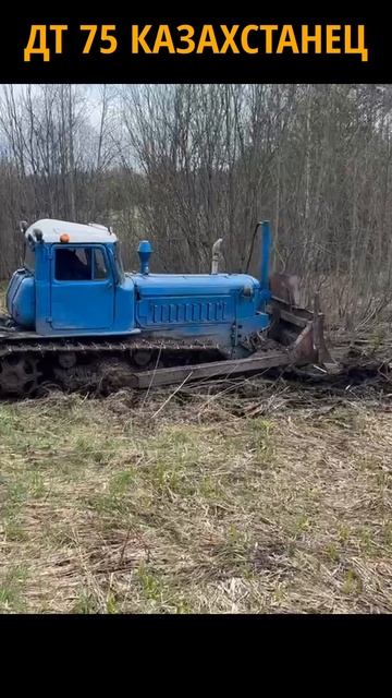 Трактор ДТ 75 против зарослей. Очистка поля от кустарников.