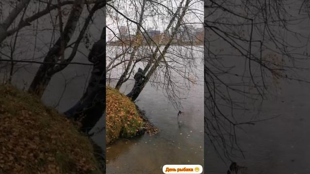 Как достать воблер с дерева в + 5 градусов тепла 😁