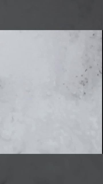 ЗИМА ❄️❄️❄️