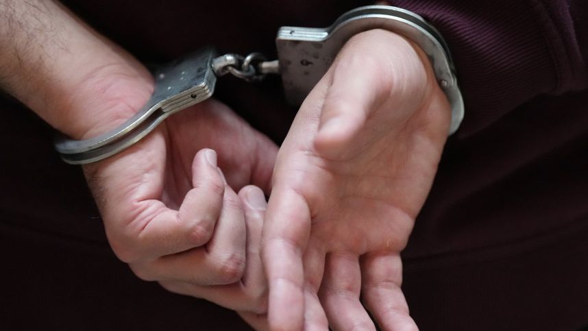 Сооснователя пирамиды «Финико» депортировали из ОАЭ в Россию