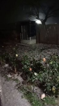 Зима пришла ❄️