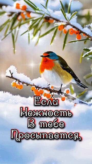 #доброеутро