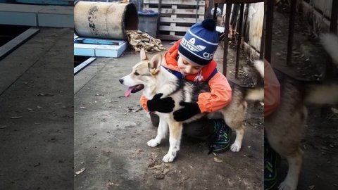 Мальчик с собакой