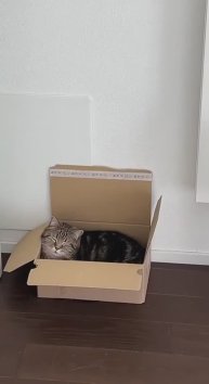 Как выглядят выброшенные на ветер деньги 😁😁😁