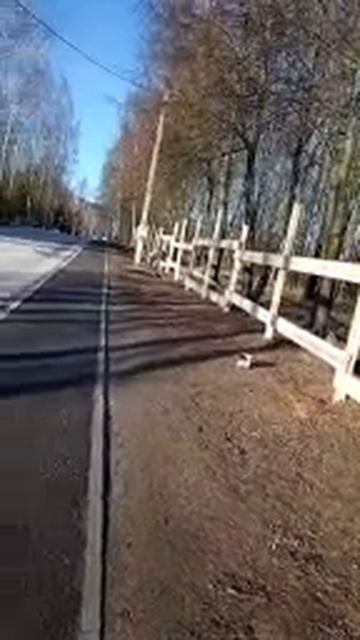 И СНОВА ВИШЕНКИ НА ЭТОТ РАЗ ВОТ ЧТО СДЕЛАЛИ