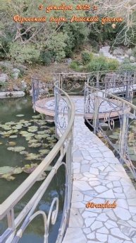 3 декабря 2025 г. Форосский парк. Райский уголок #крым #ялта #ялта2025 #форос #форосскийпарк