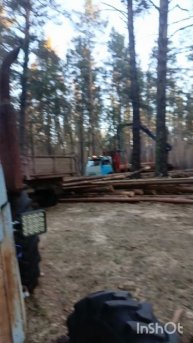 Лесные братья#