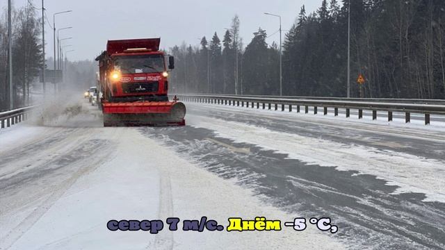 Рабочая неделя в Сахалинской области начнётся со снегопадов и усиления ветра